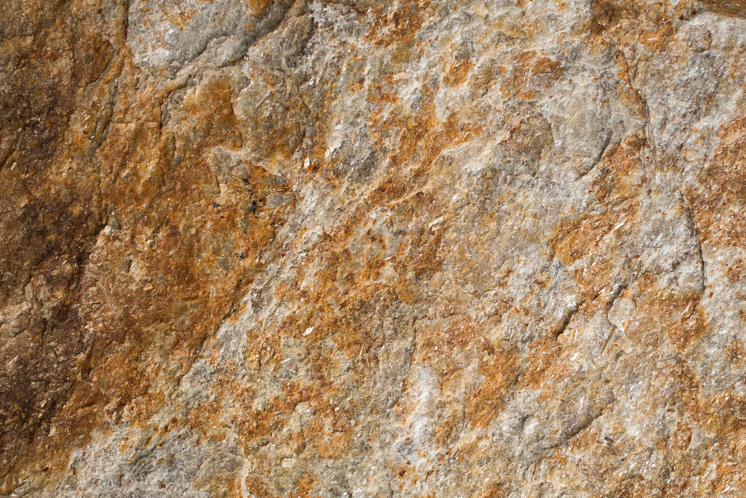 Gneiss Golden-Brown - poza produs piatra naturala Everstone