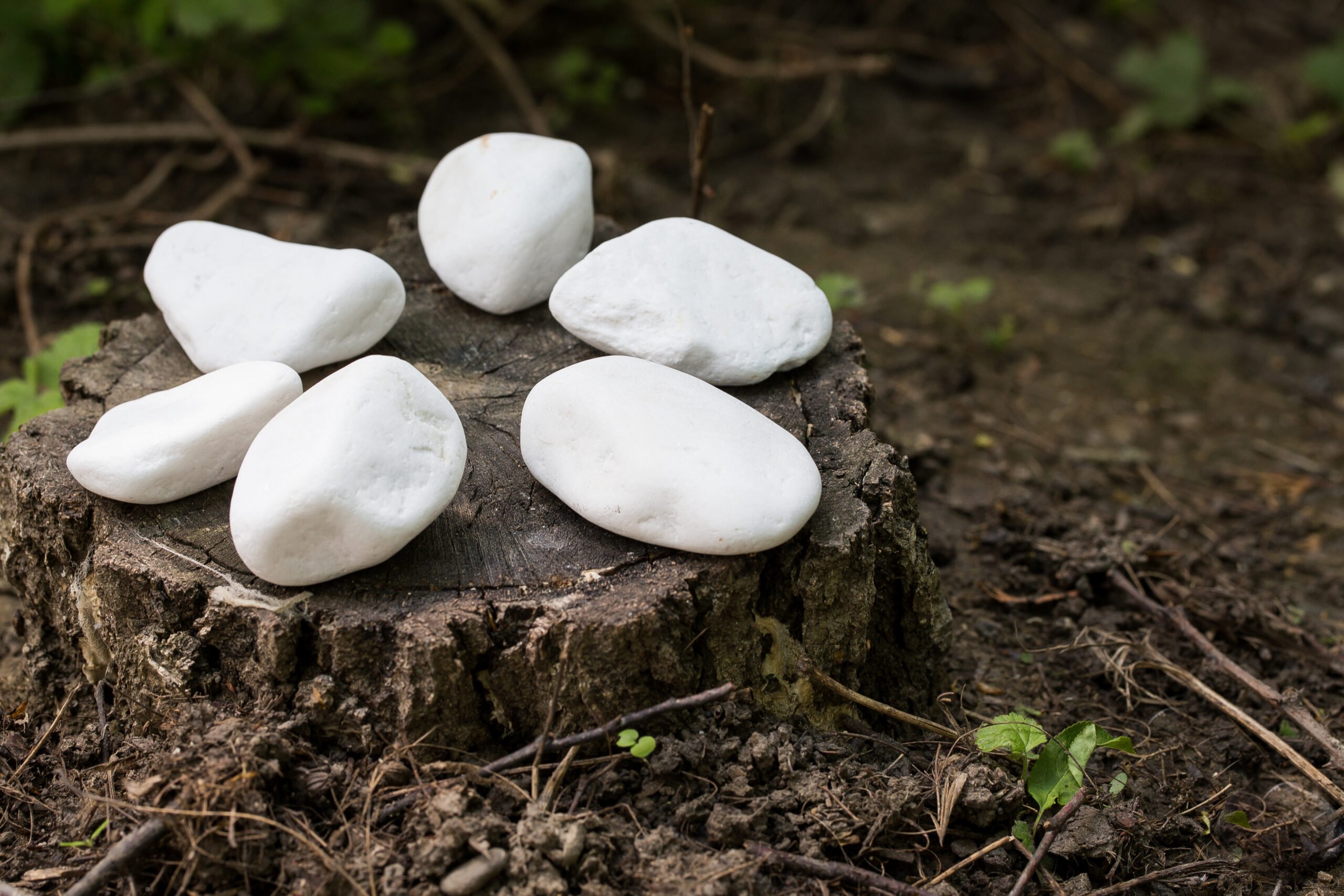 Pebbles Marmură Thassos (sac 20 kg) - Everstone piatra naturala everstone.ro