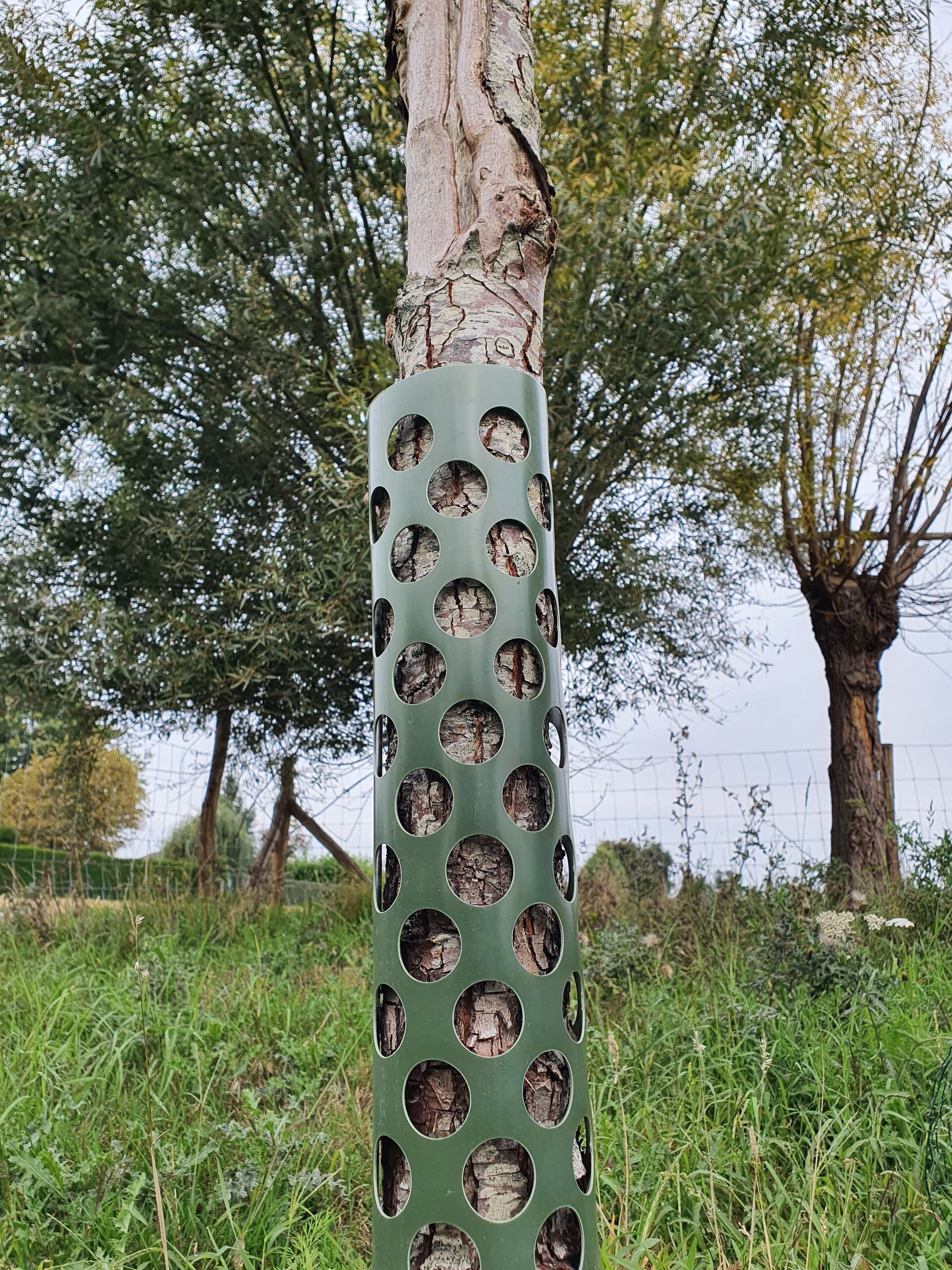 Protecție pentru copaci (Tree Guard) - poza produs piatra naturala Everstone